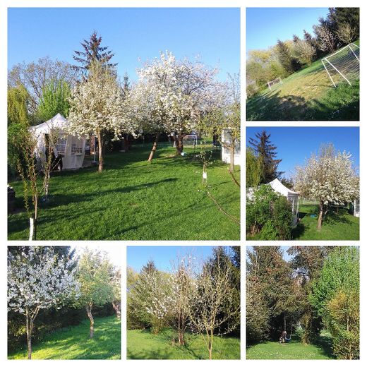 Haus (von privat) in ruhiger Lage, PV Anlage, Brunnen für Garten – Foto 2