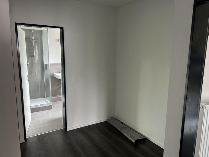 Penthouse tarzında tamamen yenilenmiş ve boş (kiralanmamış) – Flur