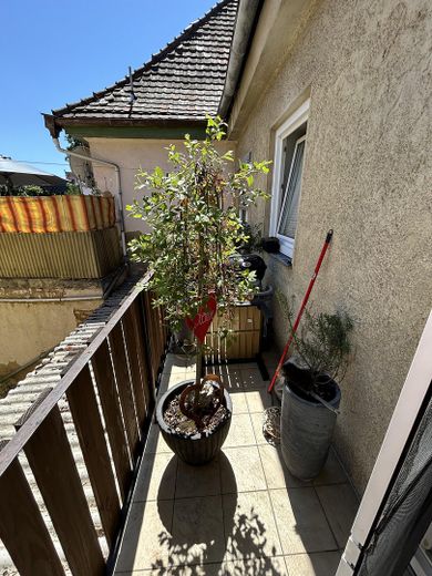 Großzügige 3-Zimmer-Wohnung mit Balkon – zentral in Lauingen – Balkon Rechte Seite