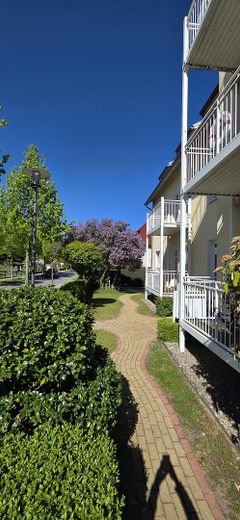 Sonnige Wohnung Kühlungsborn – Foto 13