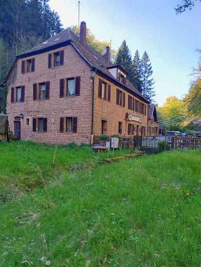 Alleinlage im Pfälzer Wald - hier ist alles ist hier möglich. – Blick vom Grundstück