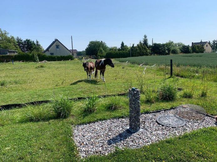 Pferde auf unbebauter Seite