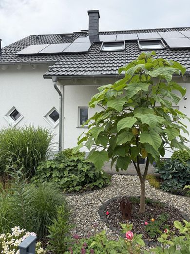 Vorderansicht