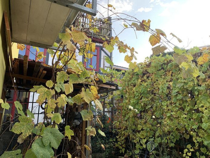 Blick aus Hintereingang