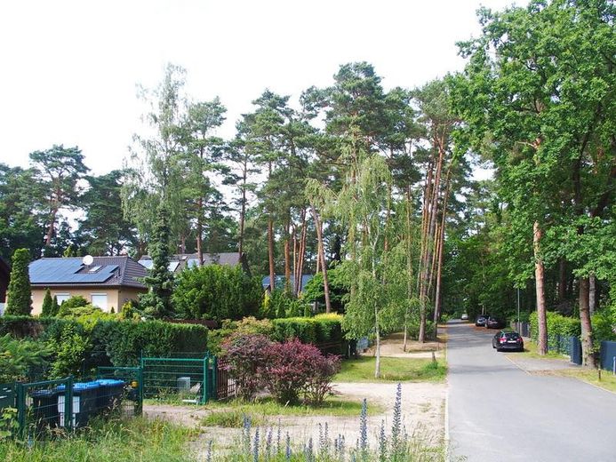 Schildow, Tschaikowskistraße, Komponistenquartier, provisionsfrei – unmittelbares Umfeld