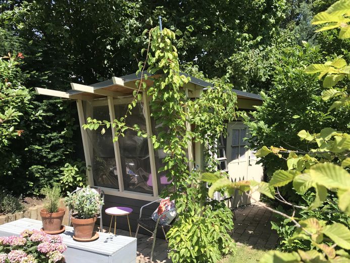 Cocktails in der Abendsonne 