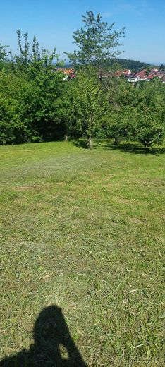 Terreno per il tempo libero top con splendida vista, casetta da giardino, area barbecue, acqua, alberi da frutto e da noce – Photo 8