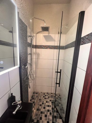 lichtdurchflutete 3 ZKB Wohnung nähe Stadtpark – Duschbad 2 