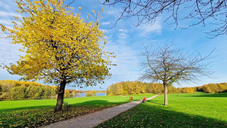 - Senza commissioni - Casa bifamiliare a basso consumo energetico con dotazioni di alta qualità presso il lago Öjendorfer – Öjendorfer Park