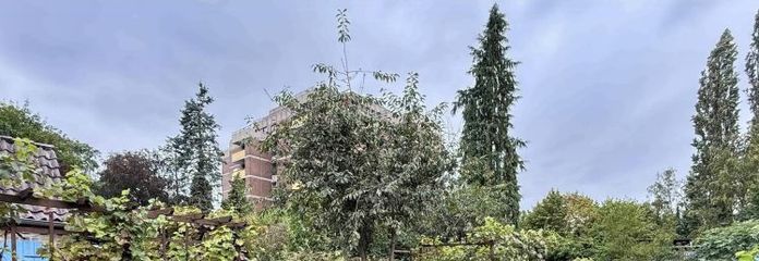 Celle-Neuenhäusen'de geniş arsaya sahip iki ailelik ev