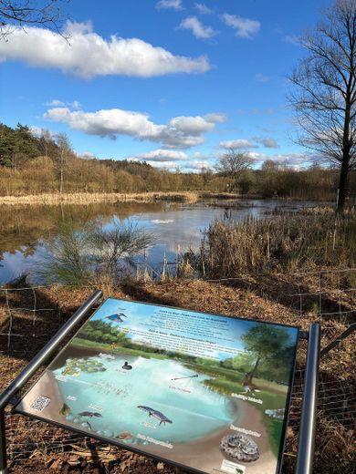 Hochwertig sanierte ETW in Miesenbach am Seewoog – Foto 18