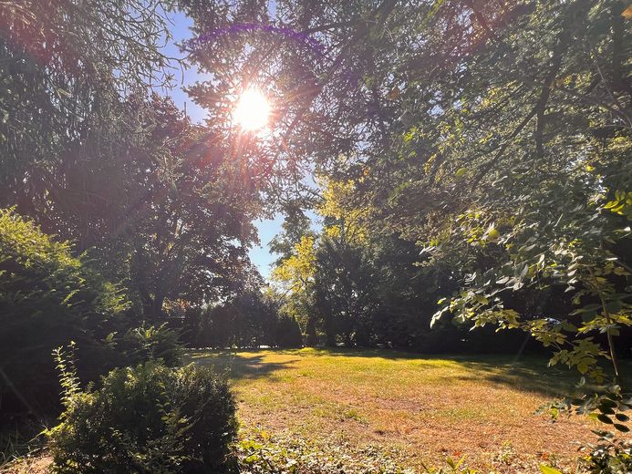 Heller 5-Zimmer-Bungalow mit Kamin, großem Garten & Doppelgarage | Stadtgrenze Hamburg – Garten