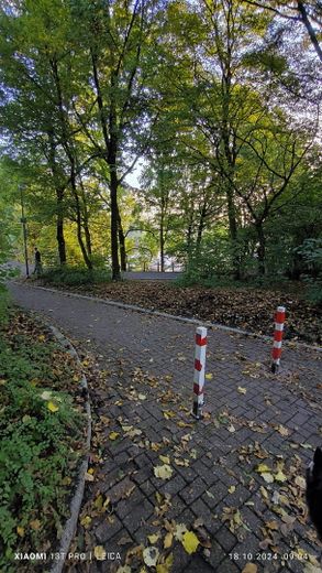 Zugang Sporhafen/Rhein