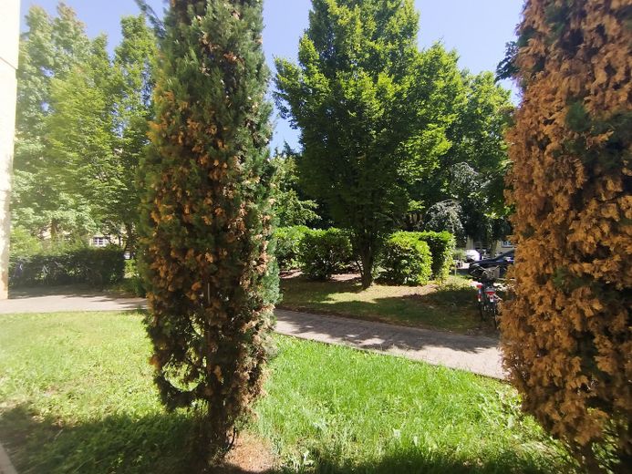 Квартира в центральному розташуванні в історичній пам’ятці з двором, схожим на парк, і лоджією, без комісії! – Garten