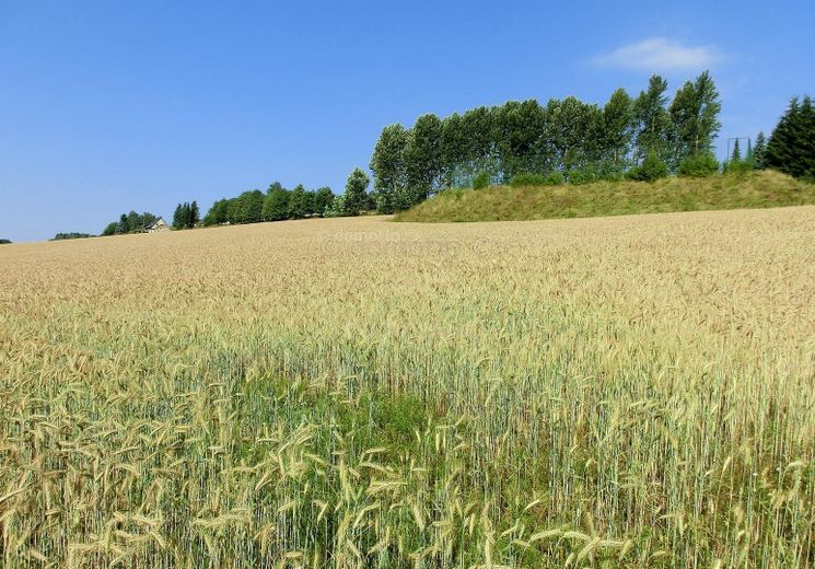 Ausblick Rückseite
