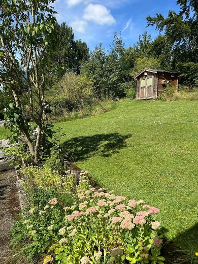 Garten hinter dem Haus