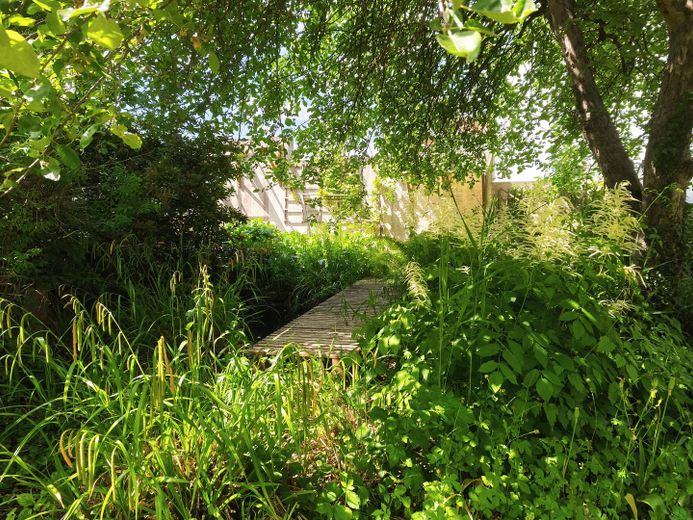 Provisionsfrei - Freistehendes Einfamilienhaus mit großem Garten nahe Stadtplatz und Innauen – Teich
