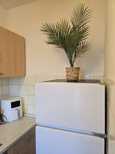 Appartement mit Wintergarten in Langenfeld-Zentrum – Küche2