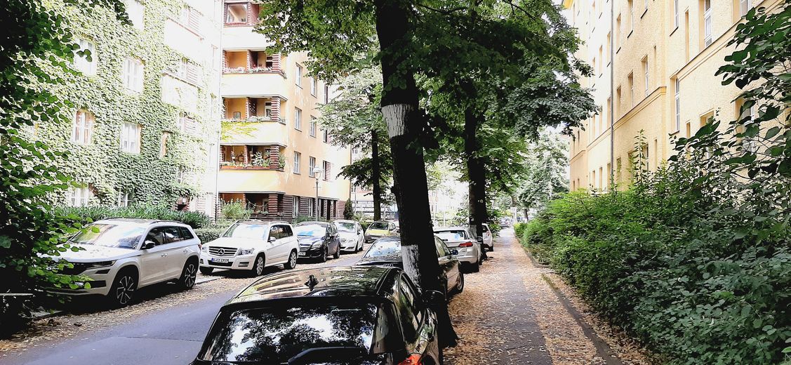 Laubenheimer Straße