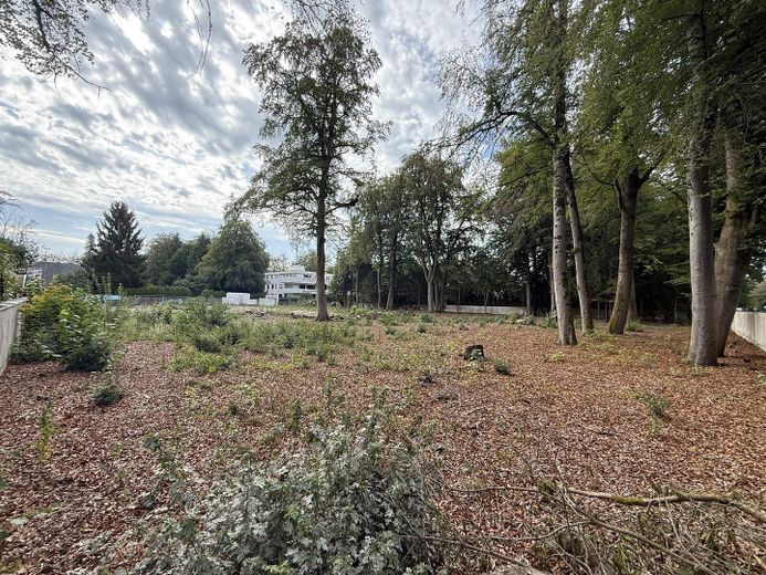 Terreno soleggiato con parco – divisibile e senza provvigioni – Foto 5