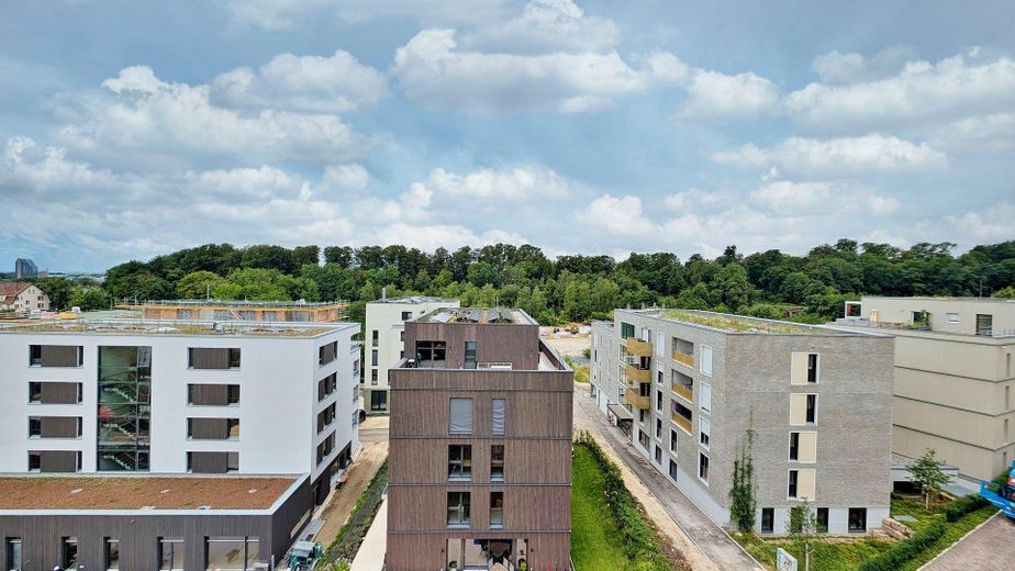 Blick S