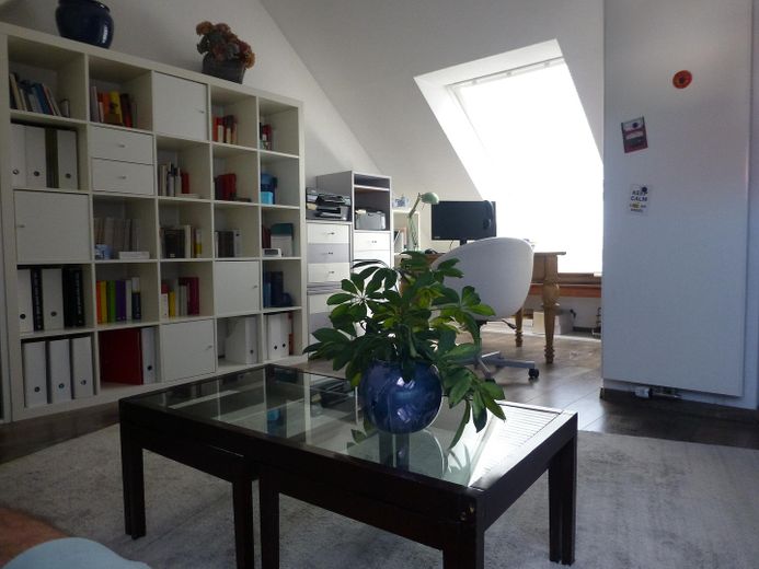 DG Studio
