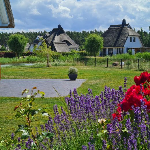 Blick in den Garten u. Teich