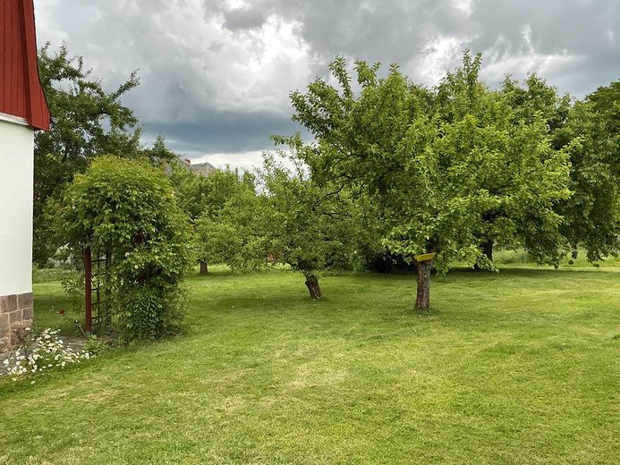 Charmantes Haus mit großem Garten und viel Potenzial – Foto 2