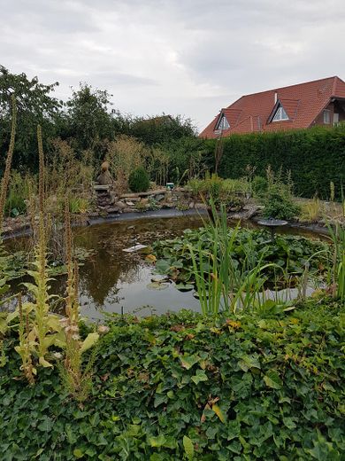 Renovierungsbedürftiges Einfamilienhaus mit großem Garten – Foto 2