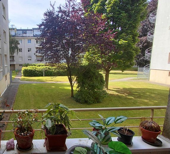 Geräumige 4 Zimmer in Köln Klettenberg – Blick in den Garten 