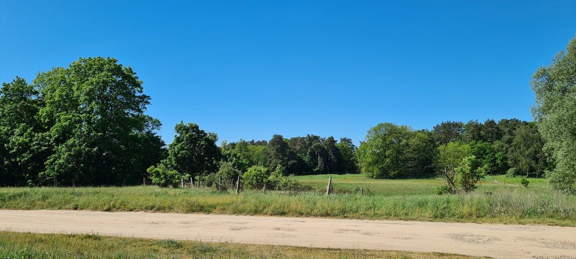 Blick über Finkenweg