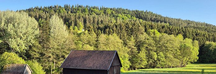 Ausblick