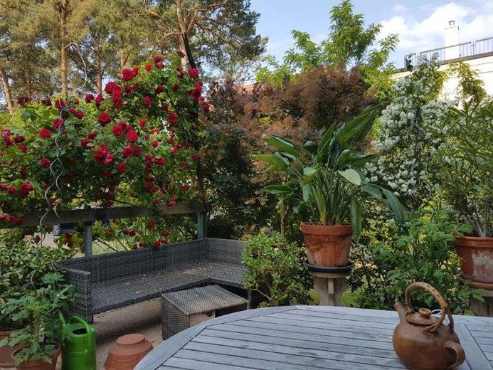 Terrasse, nat. Sichtschutz