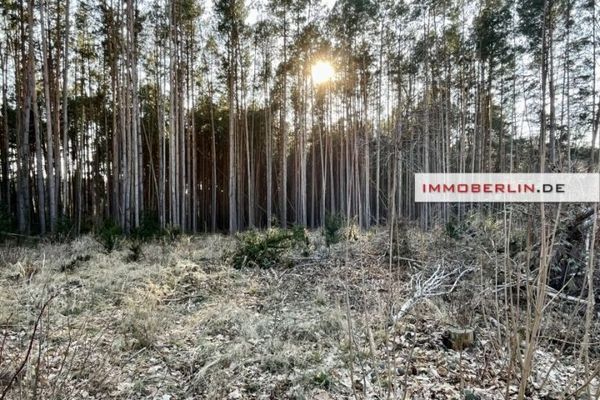 IMMOBERLIN.DE - Doğa güzelliğiyle öne çıkan bir bölgede, orman kenarında idylik imarlı arsa