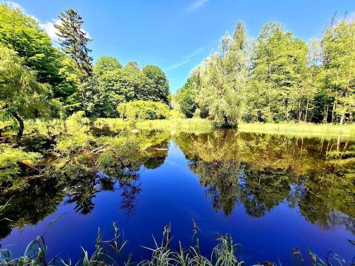 Seegut Blaue Blume – Herrenhaus, Wohnhaus & See in der Uckermark – Der Blick über den eigenen See