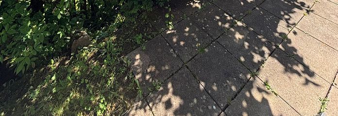 Terrasse nach Süden