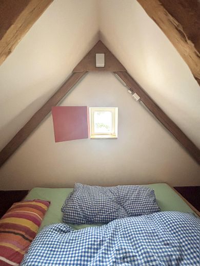 Schwarzach ve Murach Vadisi'nde dört cepheli çiftlik evi – Fotoğraf 29
