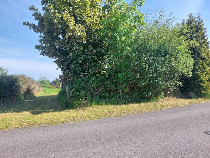Leben am Meer - Großes Baugrundstück in Westerholz – Sichtschutz zur Straße