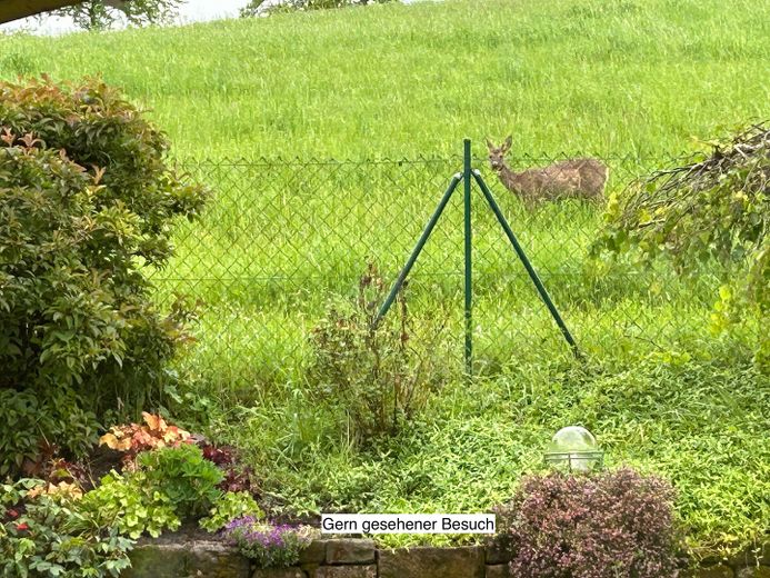 Freistehendes Niedrigenergie-EFH in Massivbauweise zwischen Pirmasens und Zweibrücken – Häufiger Besuch