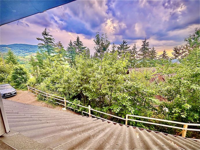 2-Zimmer Wohnung am Waldrand – Aussicht 