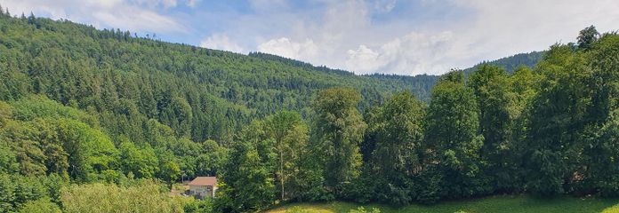 Blick von der Terrasse