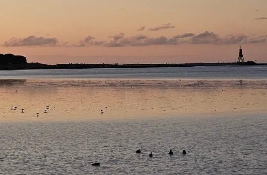 solides Einfamilienhaus an der Elbe – Foto 27