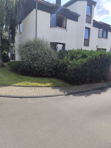 Seitenansicht 