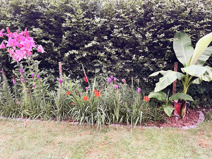 Blumenbeet Sommer