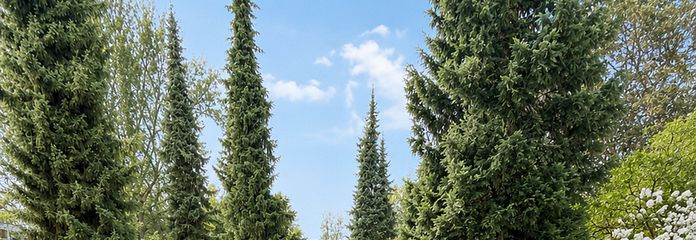 3-Zi. Wohnung mit eigenem Garten – Eigener Garten