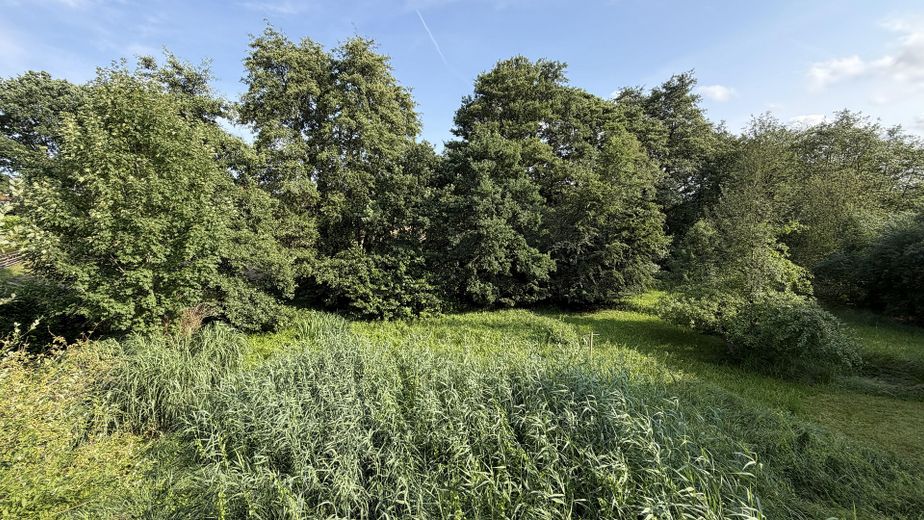 Exklusives Wohnen im Grünen: Großzügige Gartengeschoss-Wohnung in Stade – Foto 4