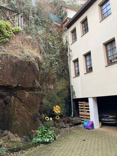 Großzügige 2-Zimmer mit Laminat und offener Küche in ruhiger Lage! – PHOTO-2022-02-09-16-56-39
