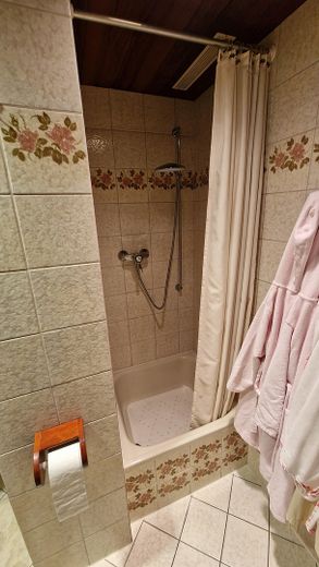 Dusche im Wannenbad