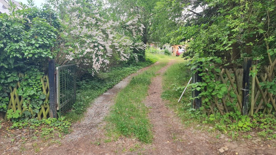 Blick in das Grundstück