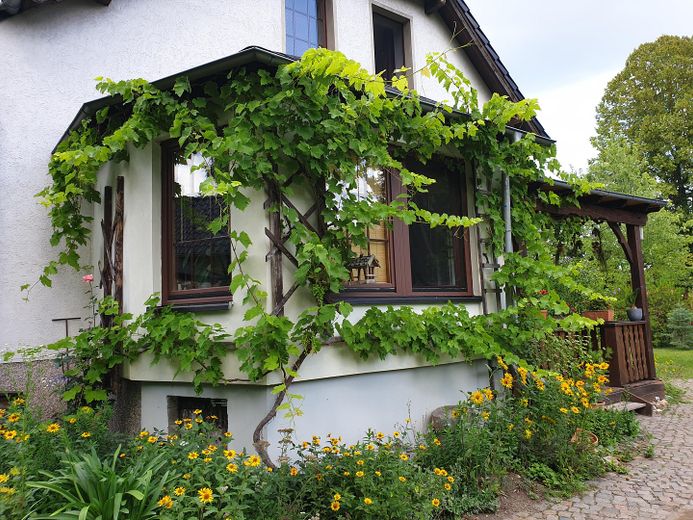 Charming country house with living basement, large garden, workshop, two verandas, hobby stable – Erker/Wintergarten (Süd)